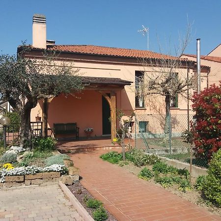 Villa Giuliana Вигонца Экстерьер фото